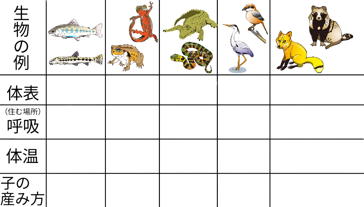 脊椎動物の分類 ふたば塾 中学校無料オンライン学習サイト