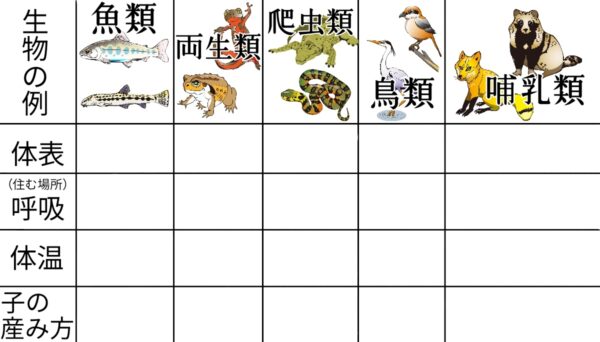 脊椎動物の分類 ふたば塾 中学校無料オンライン学習サイト