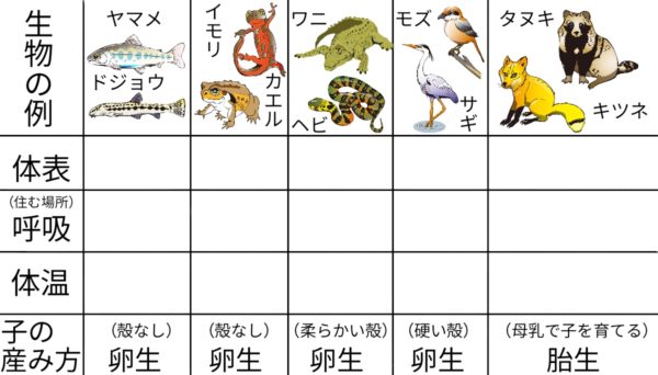 脊椎動物の分類 ふたば塾 中学校無料オンライン学習サイト