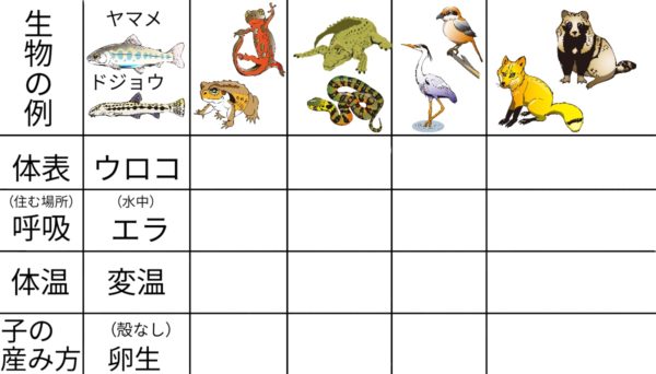動物分類学30講 / 馬渡 峻輔【著】 - 紀伊國屋書店ウェブ