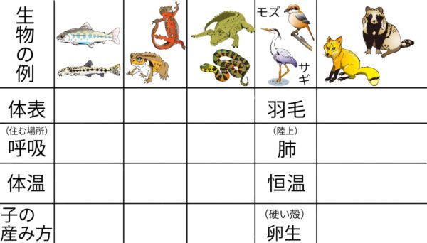脊椎動物比較形態学 (1979年) 41K-2GF7xpL._AC_SY200_QL15_.jpg