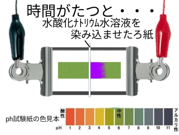 酸とアルカリの正体（pH試験紙） – ふたば塾〜中学無料オンライン学習