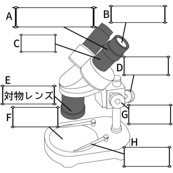 双眼実体顕微鏡とルーペ ふたば塾 中学校無料オンライン学習サイト